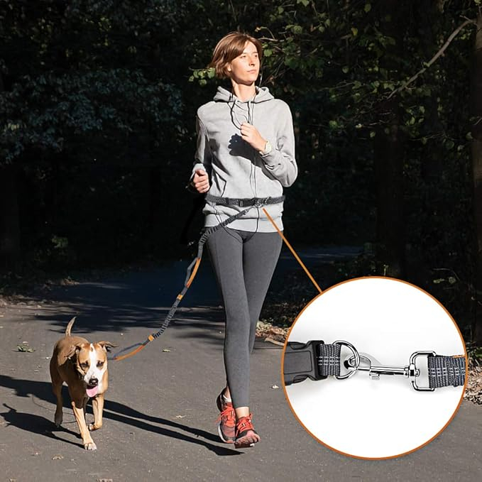 (210cm) 2-fach Hunde Leine Elastische Bungee Hundeleine mit Taillengurt   Halte Griff für Hunde bis 50 kg - Grau / Orange
