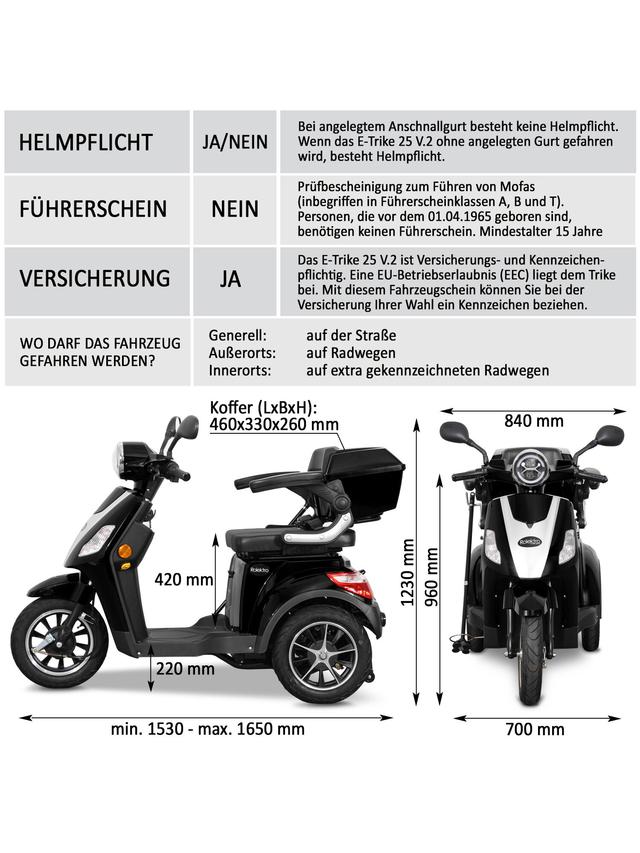 E-Trike 25 pro