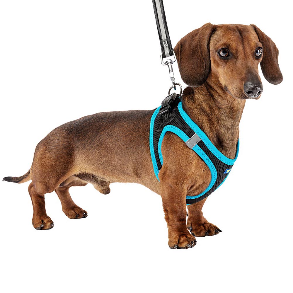 Harnais pour chiens kaori m en nylon respirant, rembourré et réfléchissant