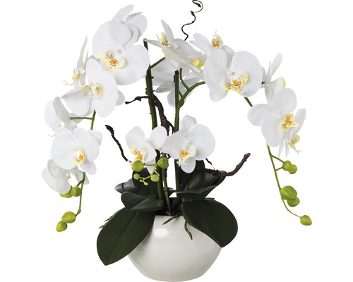 Kunstmatig Phalaenopsis plantenarrangement, hoogte: 55 cm, wit