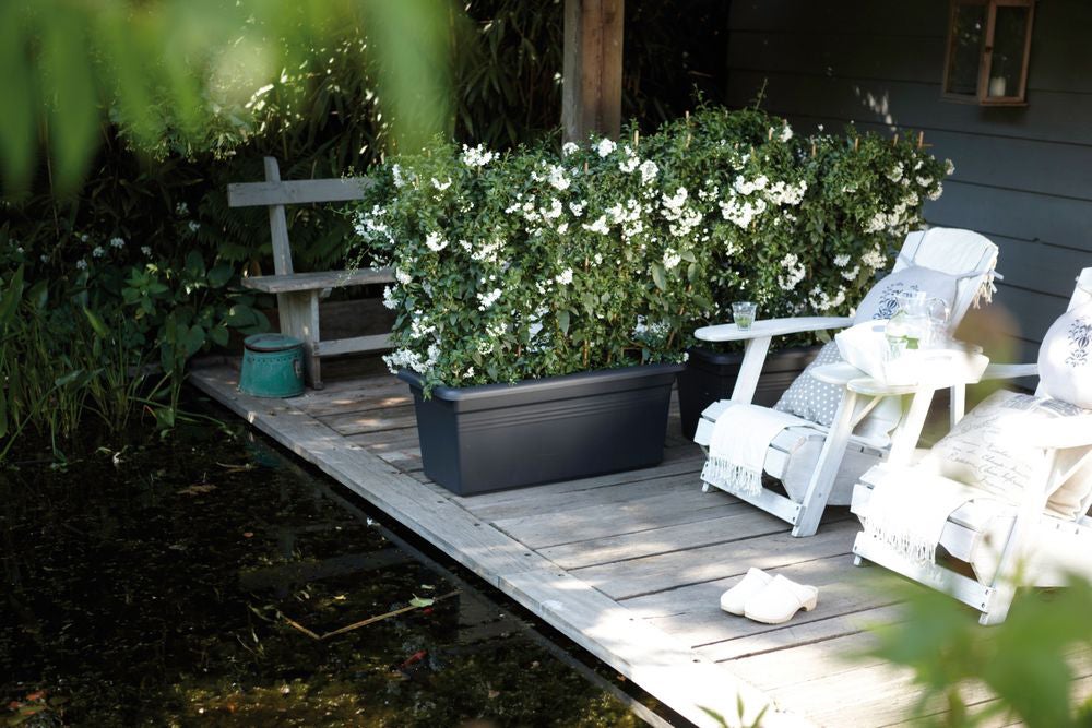 Elho Green Basics garden XXL 60cm living black