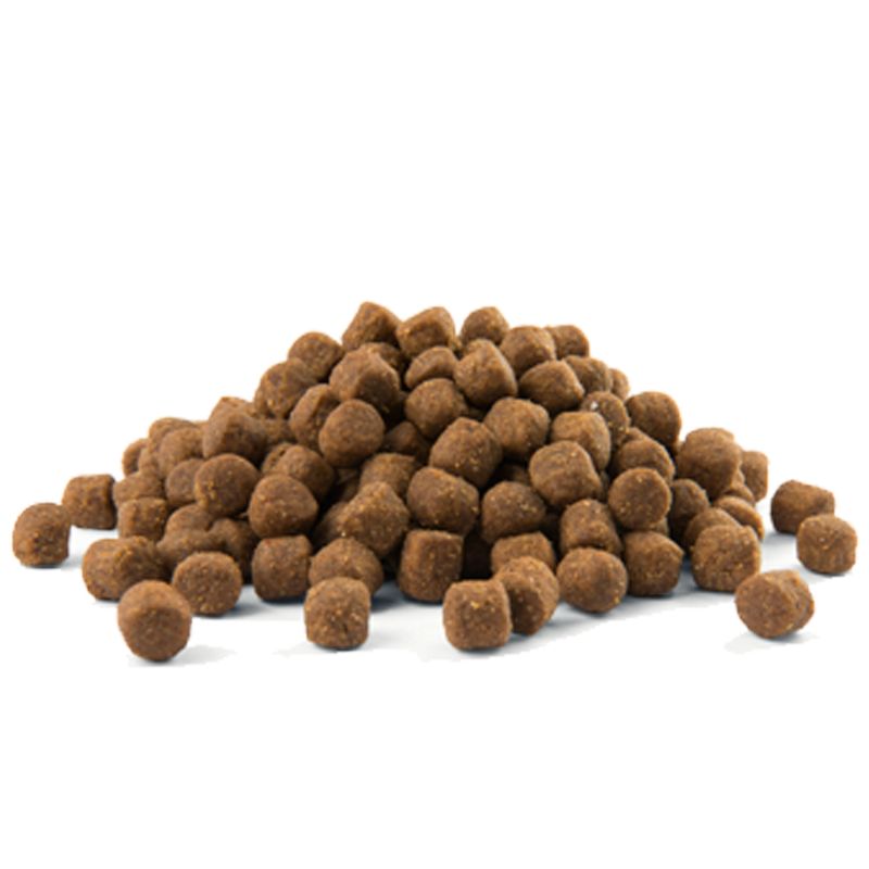 Opti Life Puppy Medium pour chiot