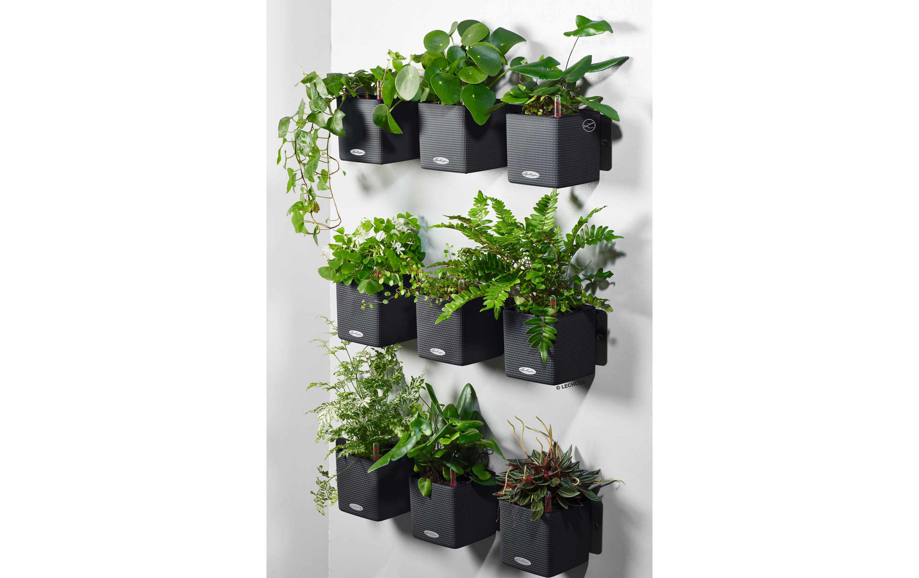 Blumentopf Green Wall Home Kit CO SchwarzTopf