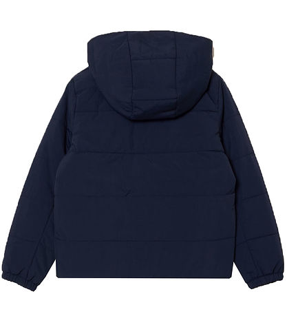 Lacoste Dynejakke - Navy Blue