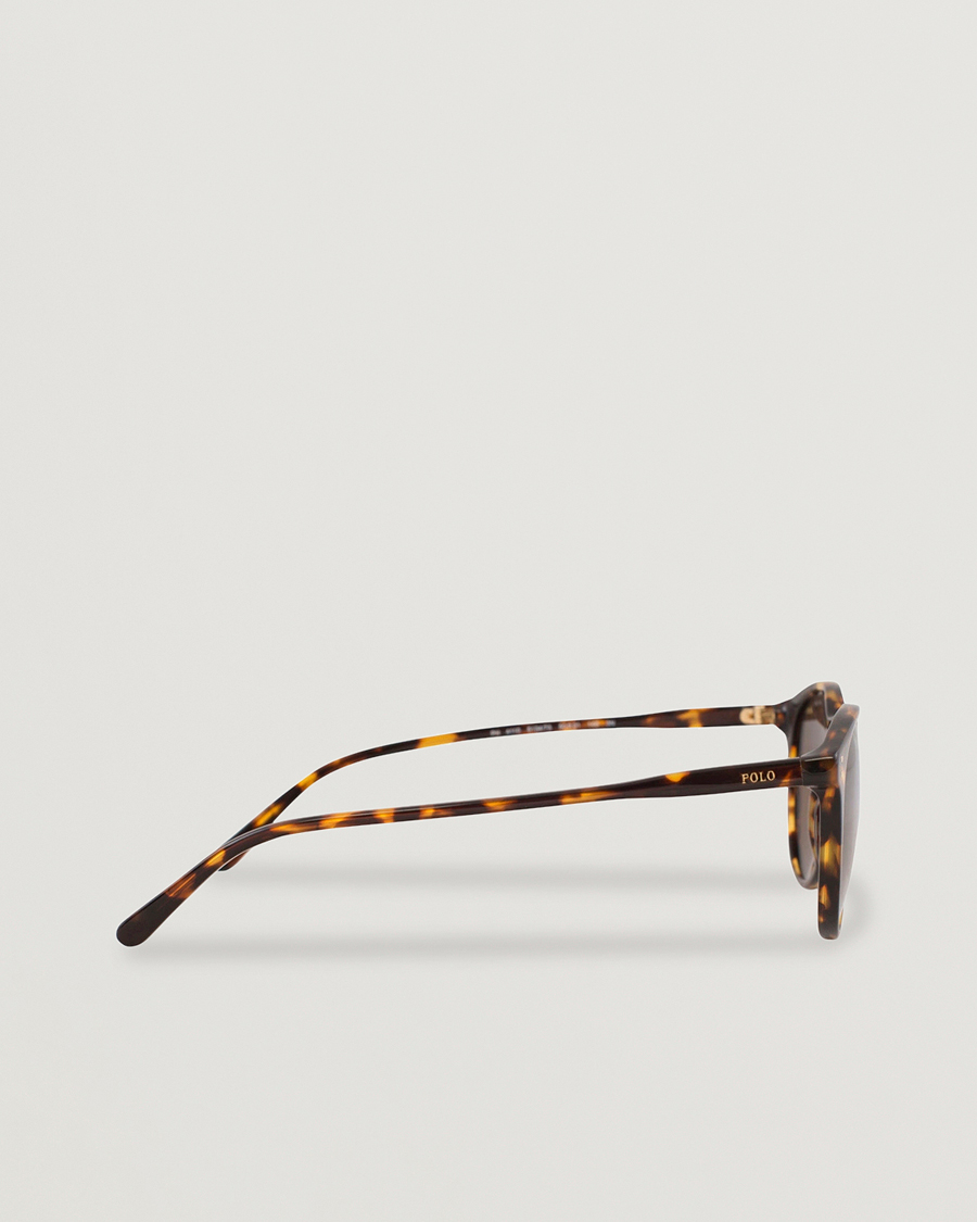 Polo Ralph Lauren 0PH4110 Round Sunglasses Havana