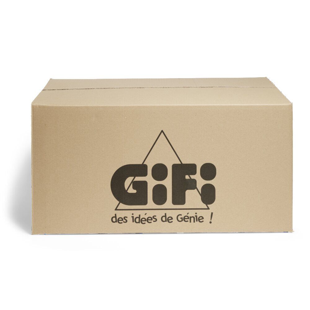 Carton déménagement Gifi premium 72L