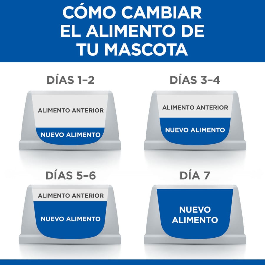 Pacote com várias embalagens de ração Hill's Science Plan para gatinhos, sabor frango e peixe.