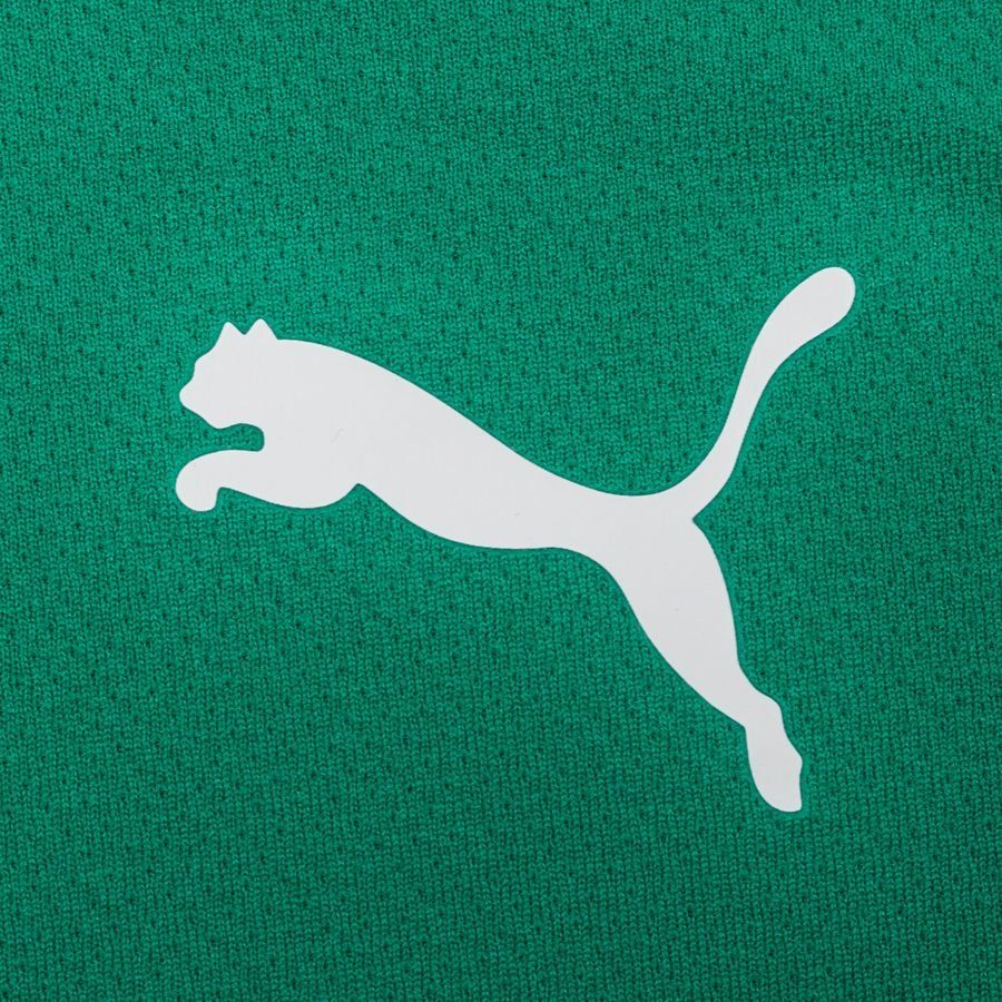 PUMA Maillot teamRISE - Vert/Noir/Blanc Enfant