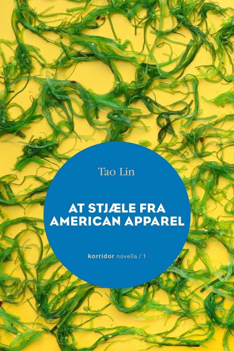 At Stjæle Fra American Apparel - Tao Lin - Bog