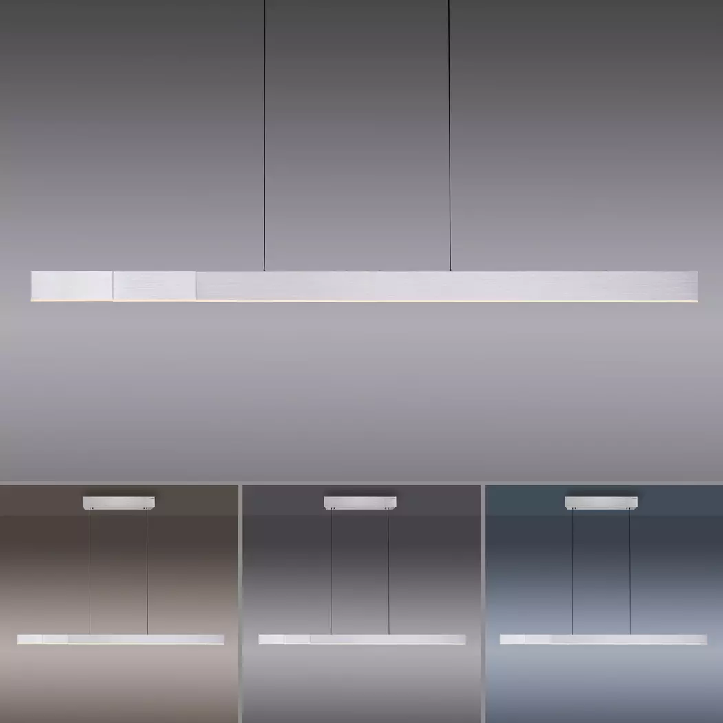 LED-Pendelleuchte Pure E-Mot