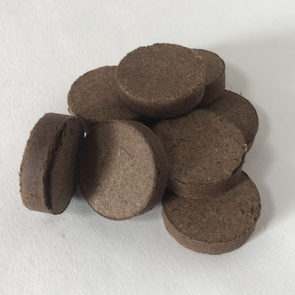 Lot 10 pastilles tourbe 3,3 cm x 0,8 cm