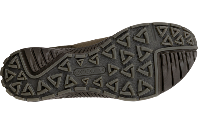 Ecco Terracruise II Herrenschuhe