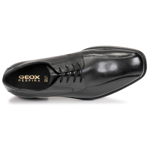 Geox - U BRANDOLF - Noir