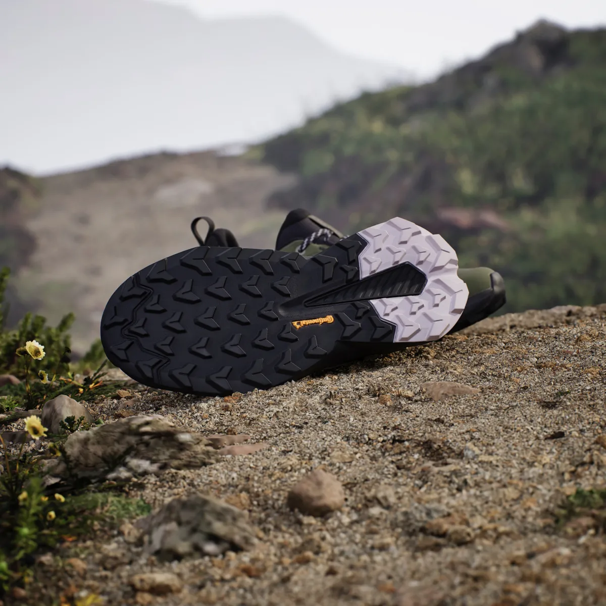Adidas Terrex Trailmaker 2 Gtx W Olistr/sildaw/aurbla