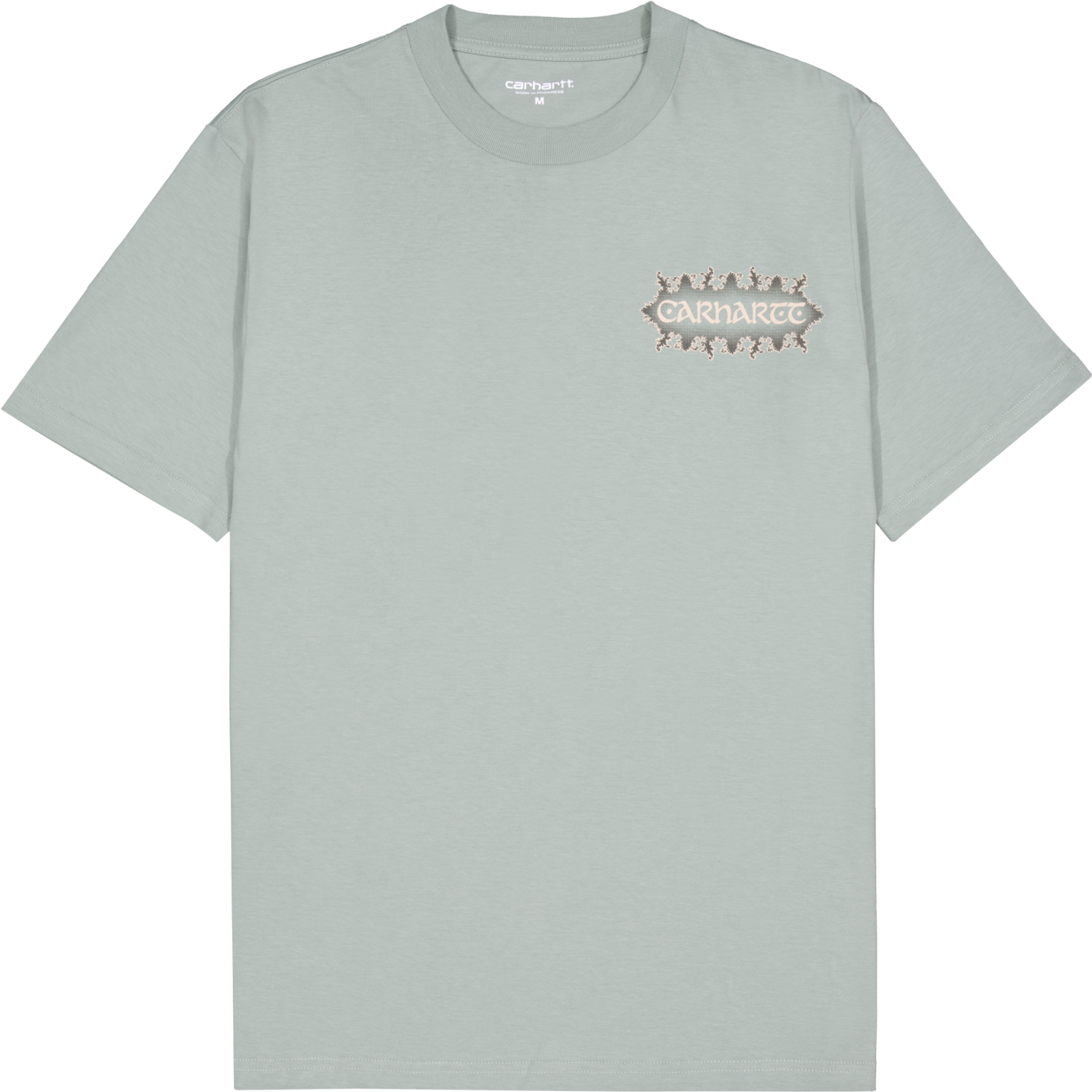 Carhartt WIP Spaces T-Shirt Grün