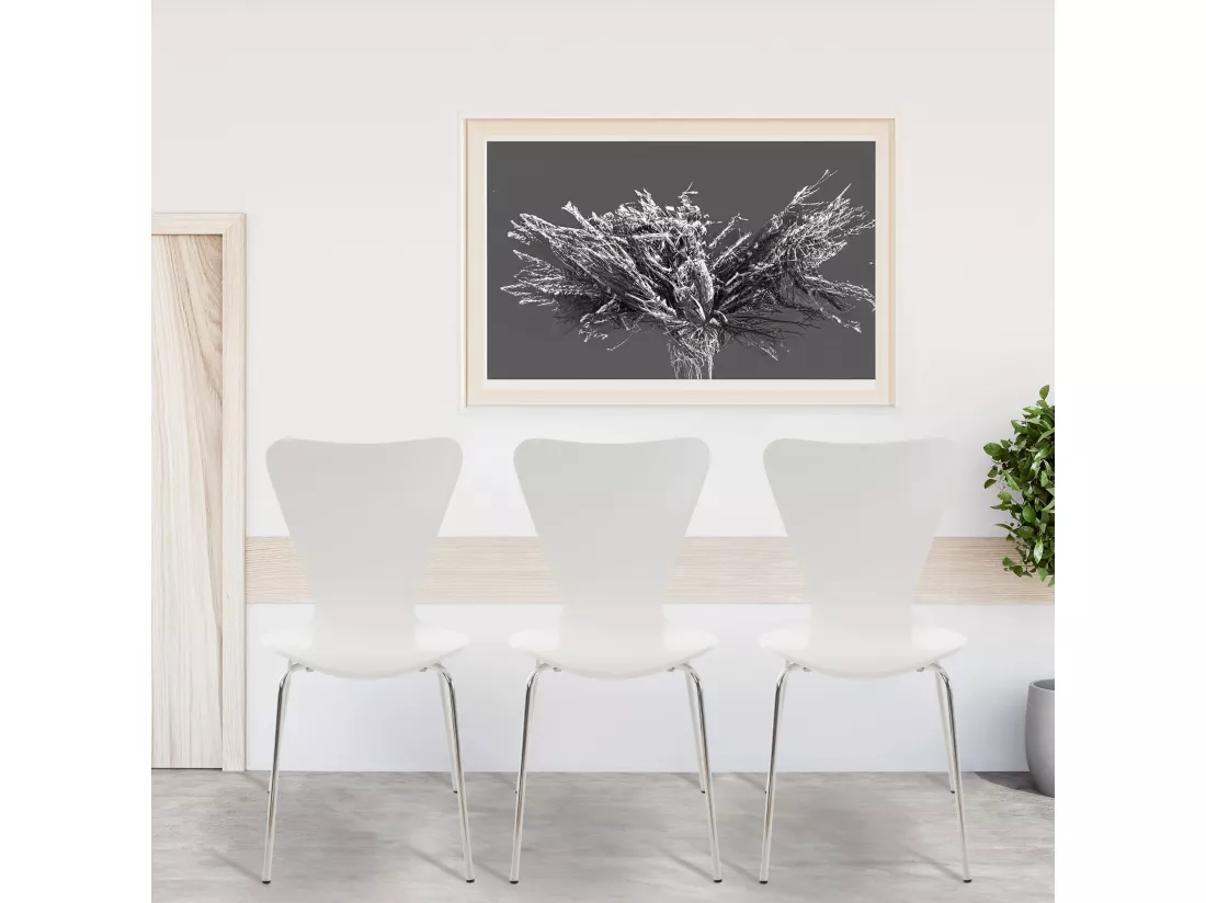 Lot de 8 Chaise de conférence - Bois & Nature - Blanc - Calisto