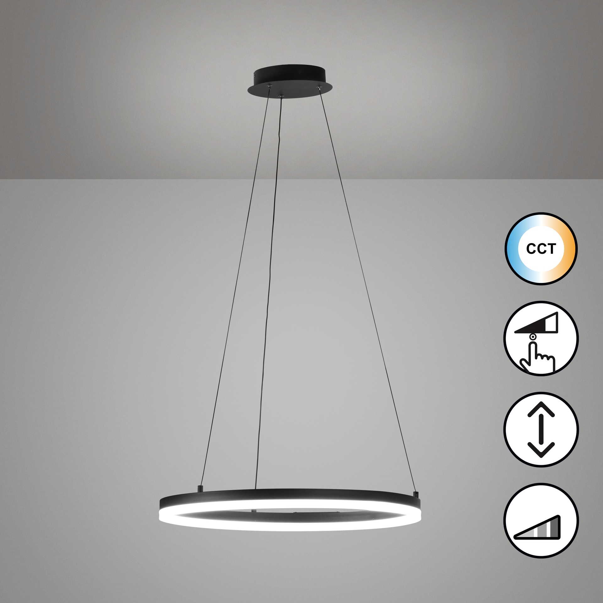 FISCHER & HONSEL LED Pendelleuchte SIRKO 60 cm sandschwarz
