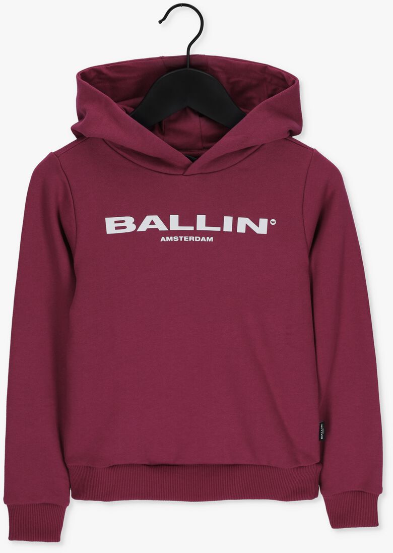BALLIN roze ballin sweater 22037321
