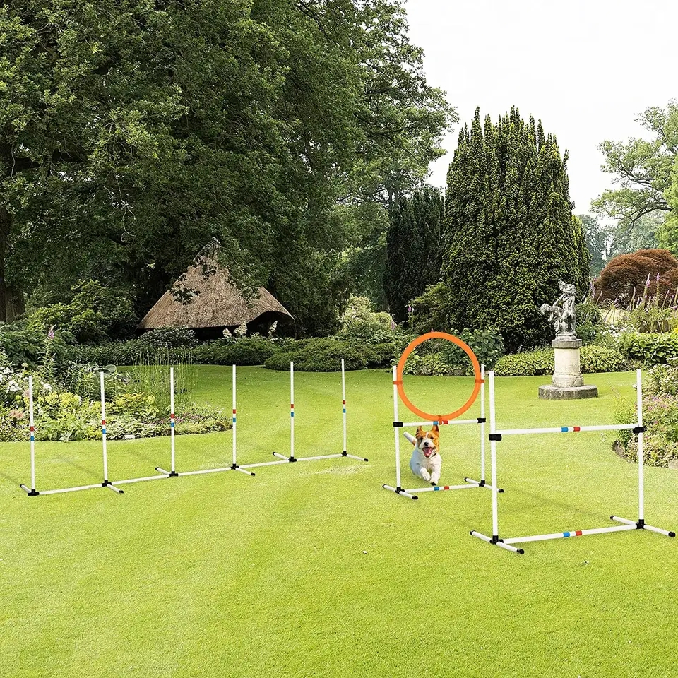 (3m) Hunde Trainings Slalom Agility Kit Outdoor Hindernis Parcours Torlauf Stangen
