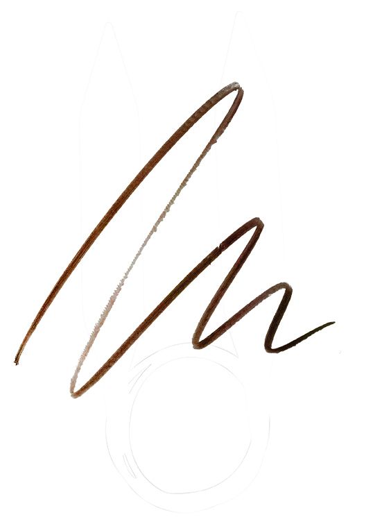 Brow Shaper Pencil