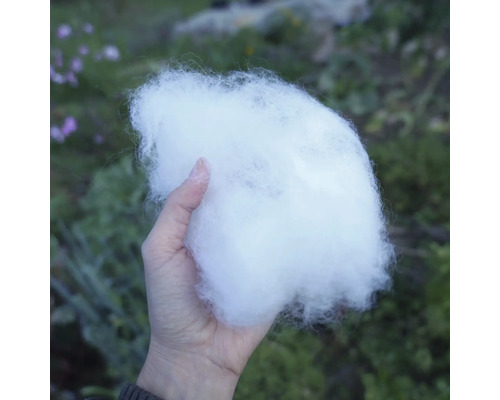 Slakkenbescherming voor mijn oogst: Slakkenbescherming van 100% schapenwol, gifvrij, los, ca. 75 g, voor ca. 12-15 planten.