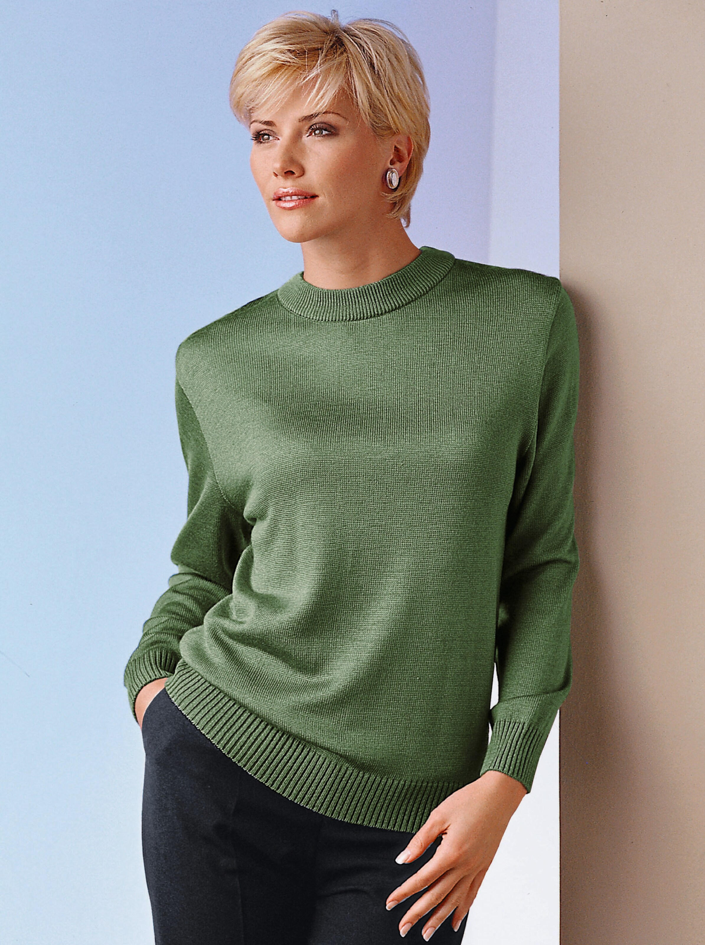 Stehkragenpullover in Feinstrick-Qualität