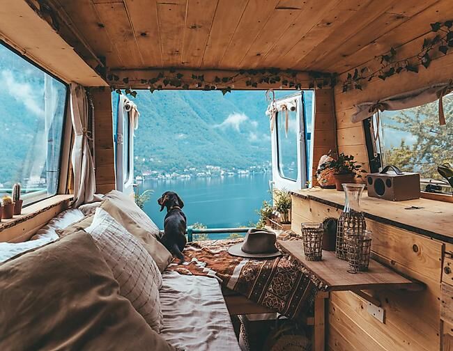 LA VIE NOMADE