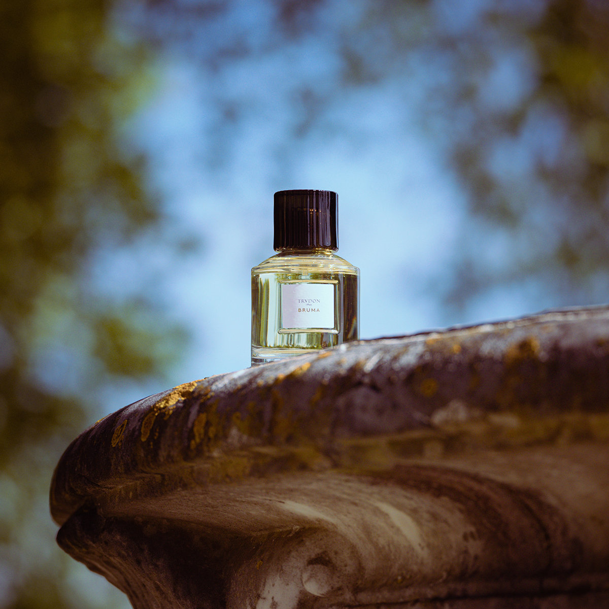 Bruma EDP 100ml 100ml
