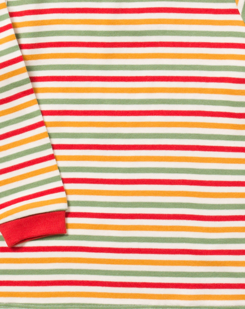Langarmshirt RAINBOW STRIPED in bunt