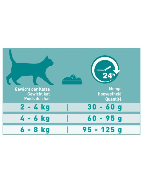 Purina One Adult Zalm&Granen - Kattenvoer
