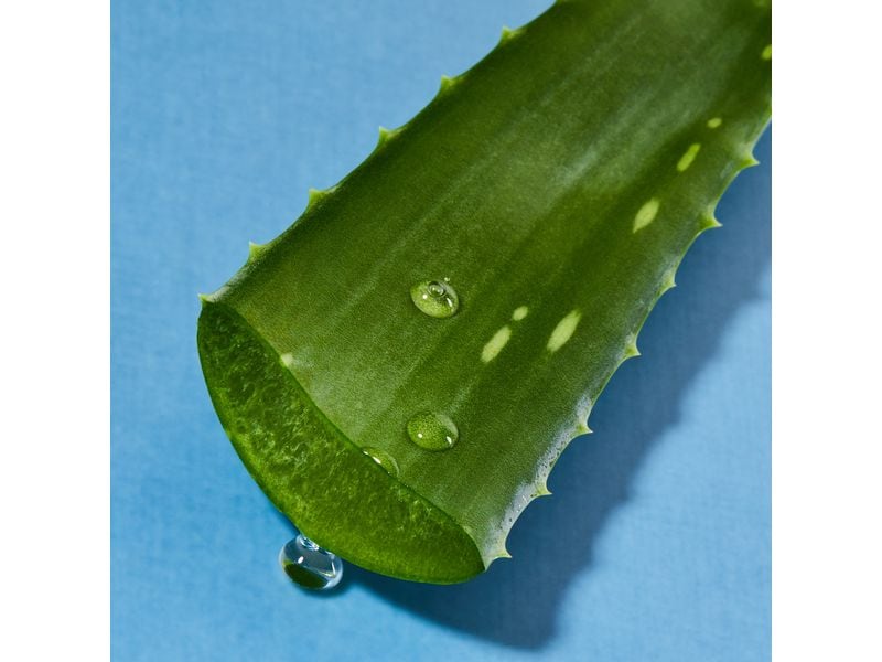 NIVEA Duschgel Creme Aloe 250 ml Pflegende und verwöhnende Cremedusche für ein sauberes Gefühl