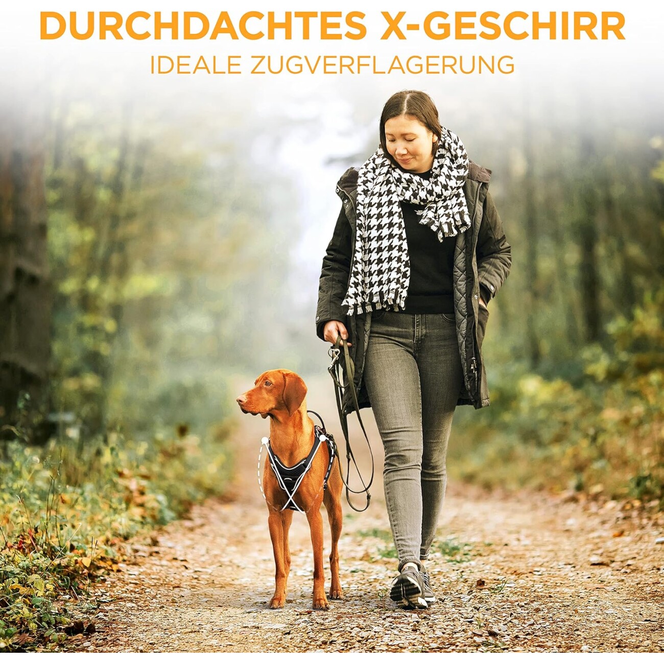 Tierhood Hundegeschirr schwarz S