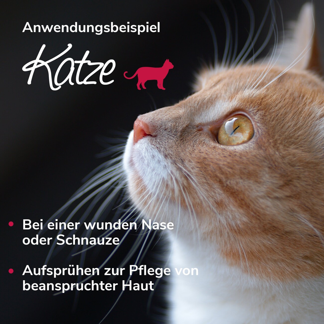 HerzensTier Wundspray Bienenwunderspray 30ml