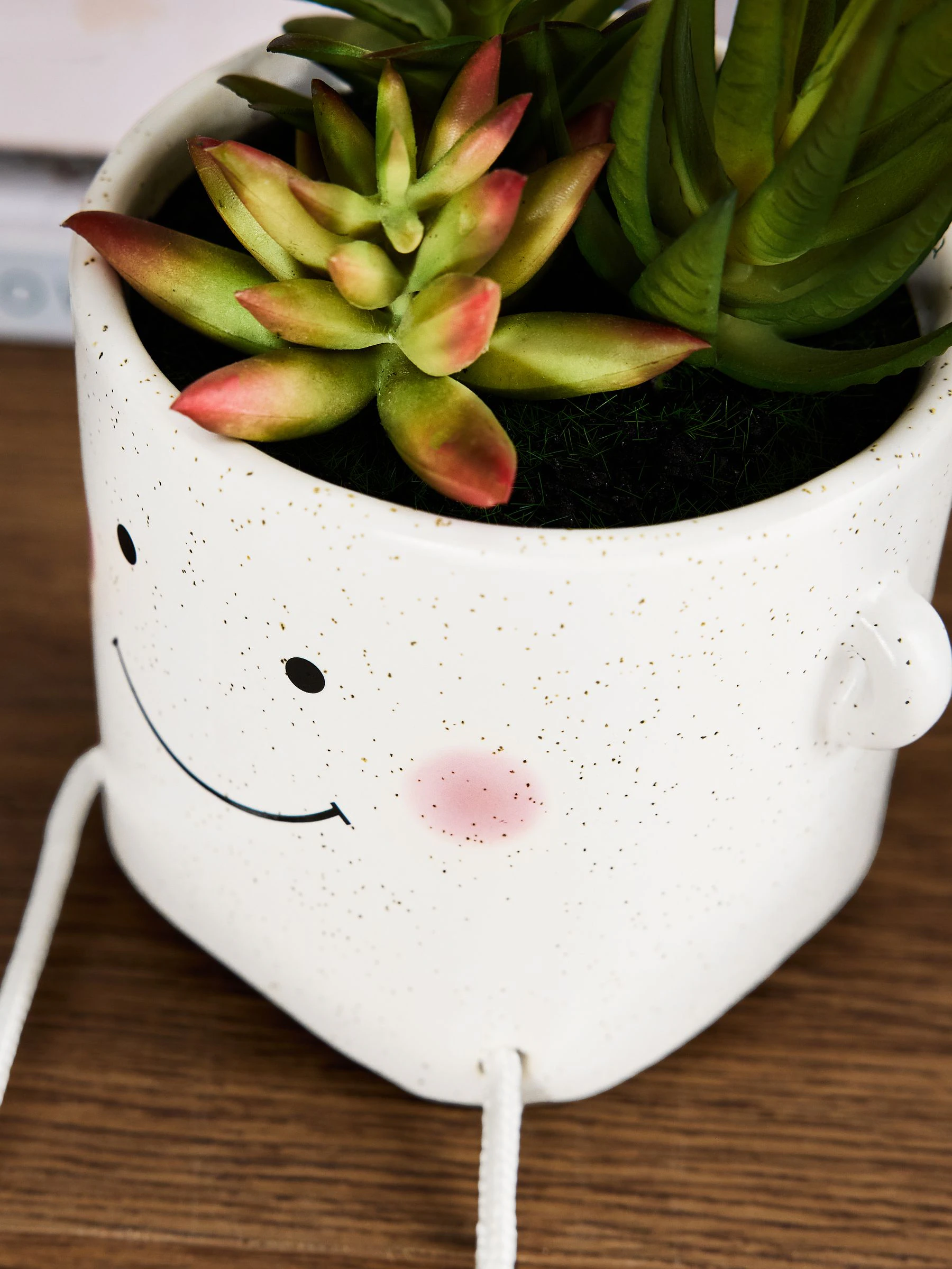 Artificial Succulents In Smiley Dangly Leg Ceramic Pot