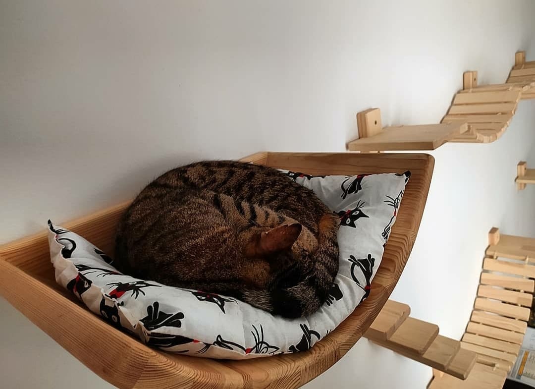 Cama curva