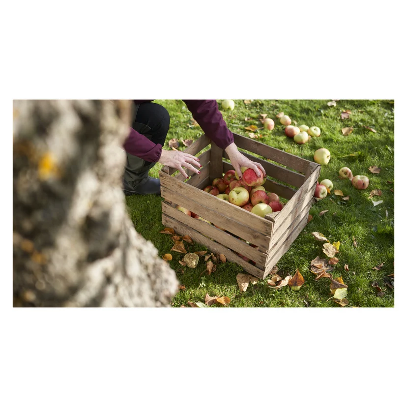 Trekasse 62 l 50x40x31 cm