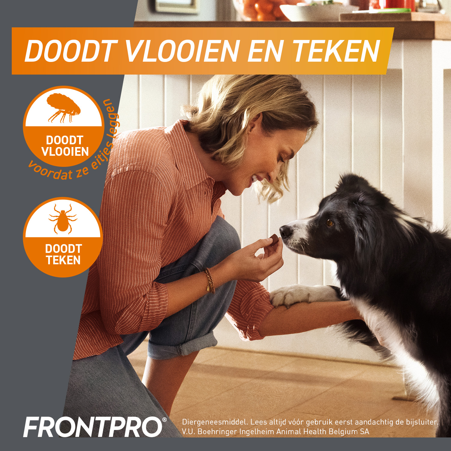 FRONTPRO Kauwtabletten Hond