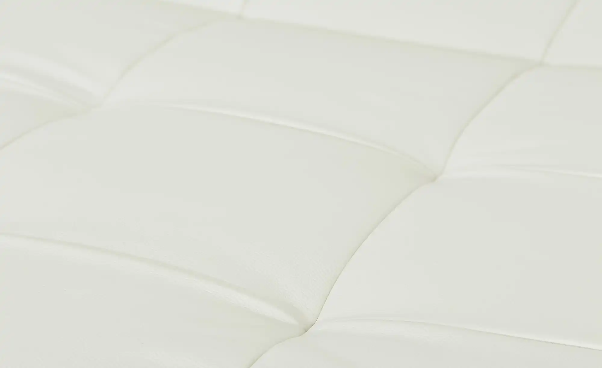 Lounge Collection Ecksofa Leder Spencer
