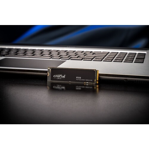 SSD interne Crucial P310 2280 500GO