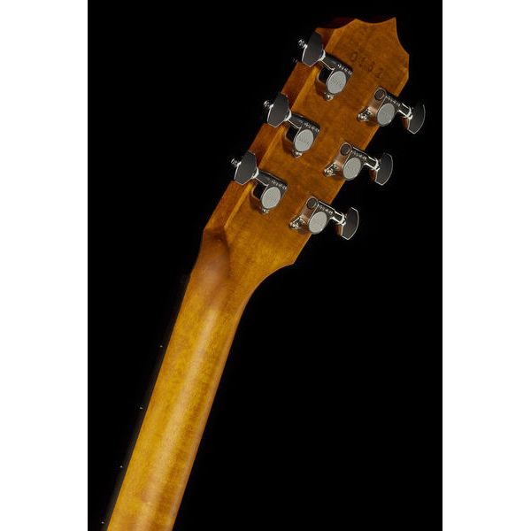 Deering Phoenix A/E 6-string Banjo