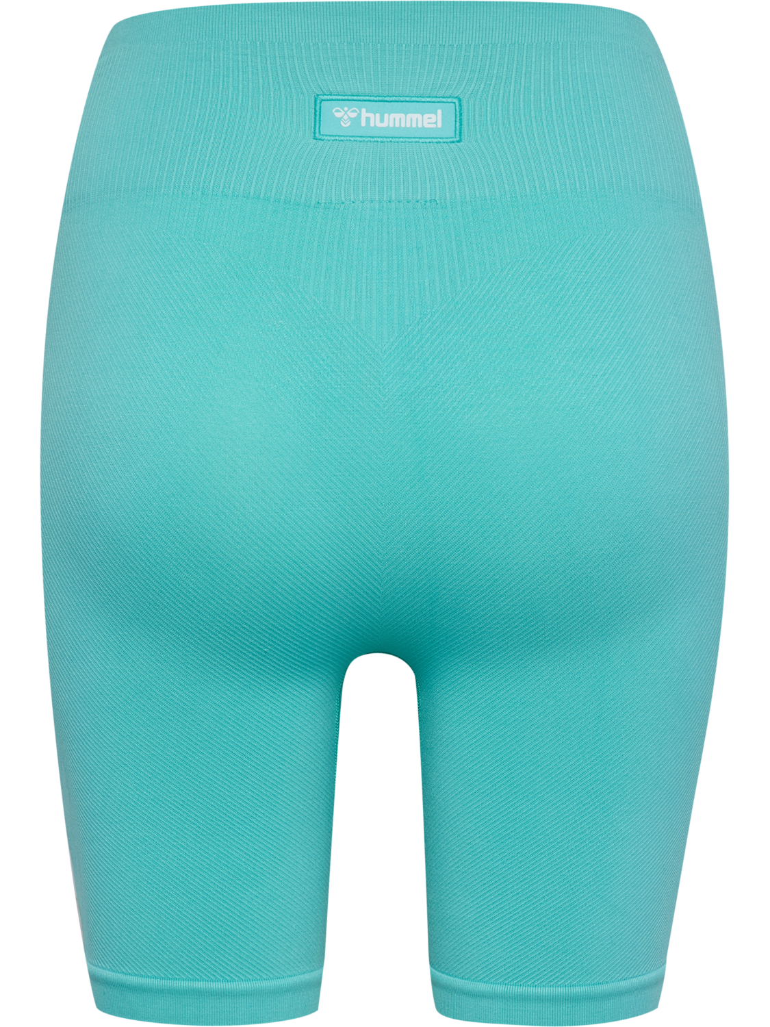 hmlALIVE SEAMLESS HIGH WAIST SHORTS