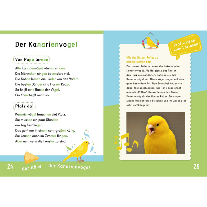 DUDEN - Weißt du schon alles über Haustiere? - Dein Lesestart - Ab 1. Klasse