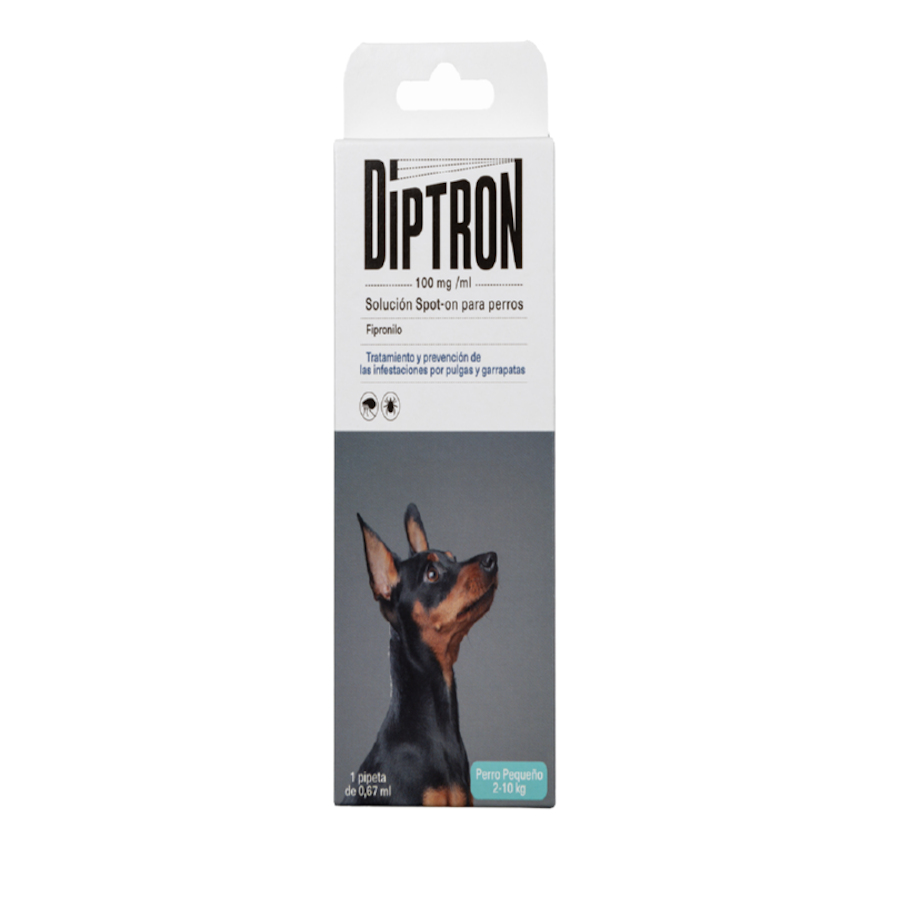 Diptron Spot On Pequena Pipeta Antiparasitária para Cães