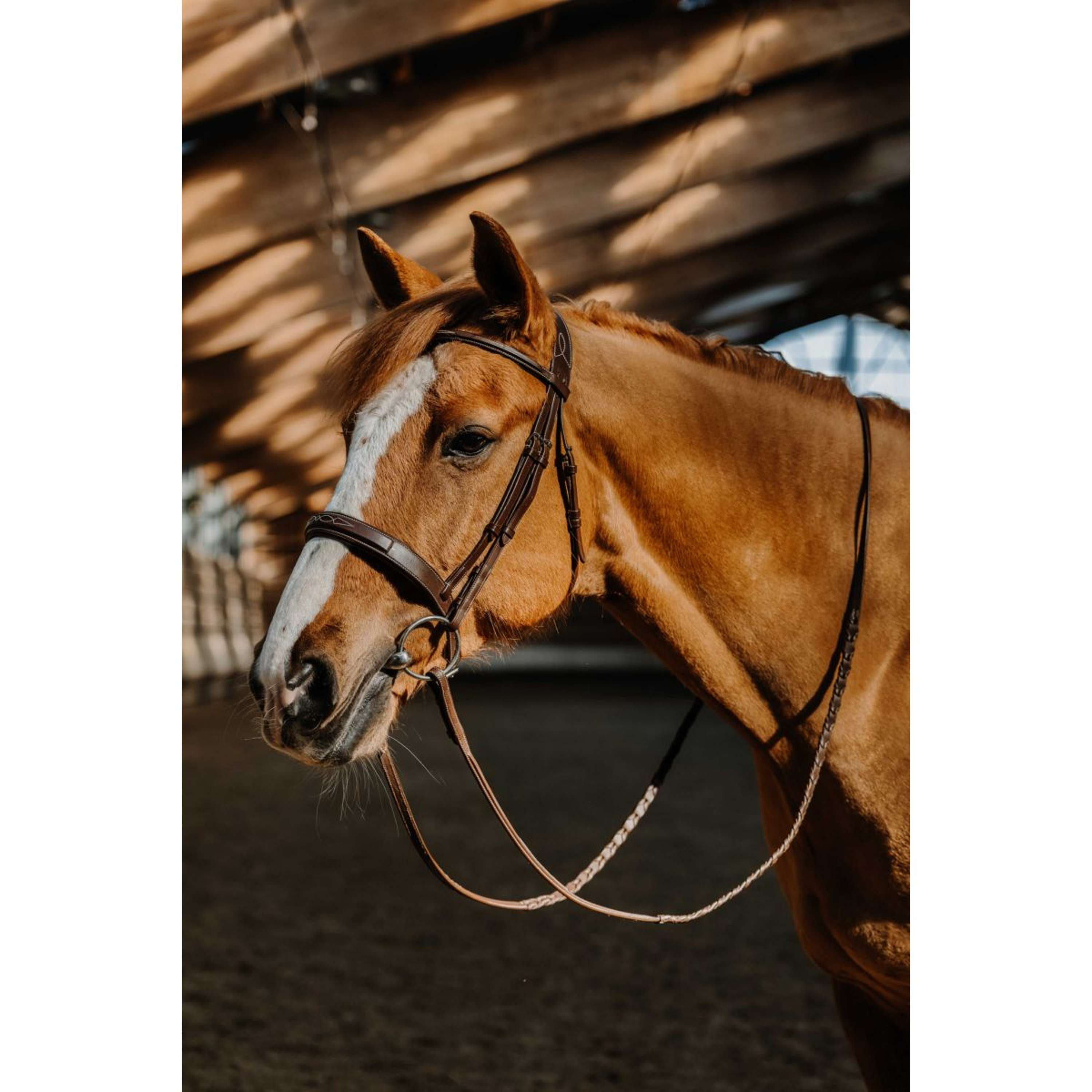 Norton Hoofdstel Hunter Fancy Havanna