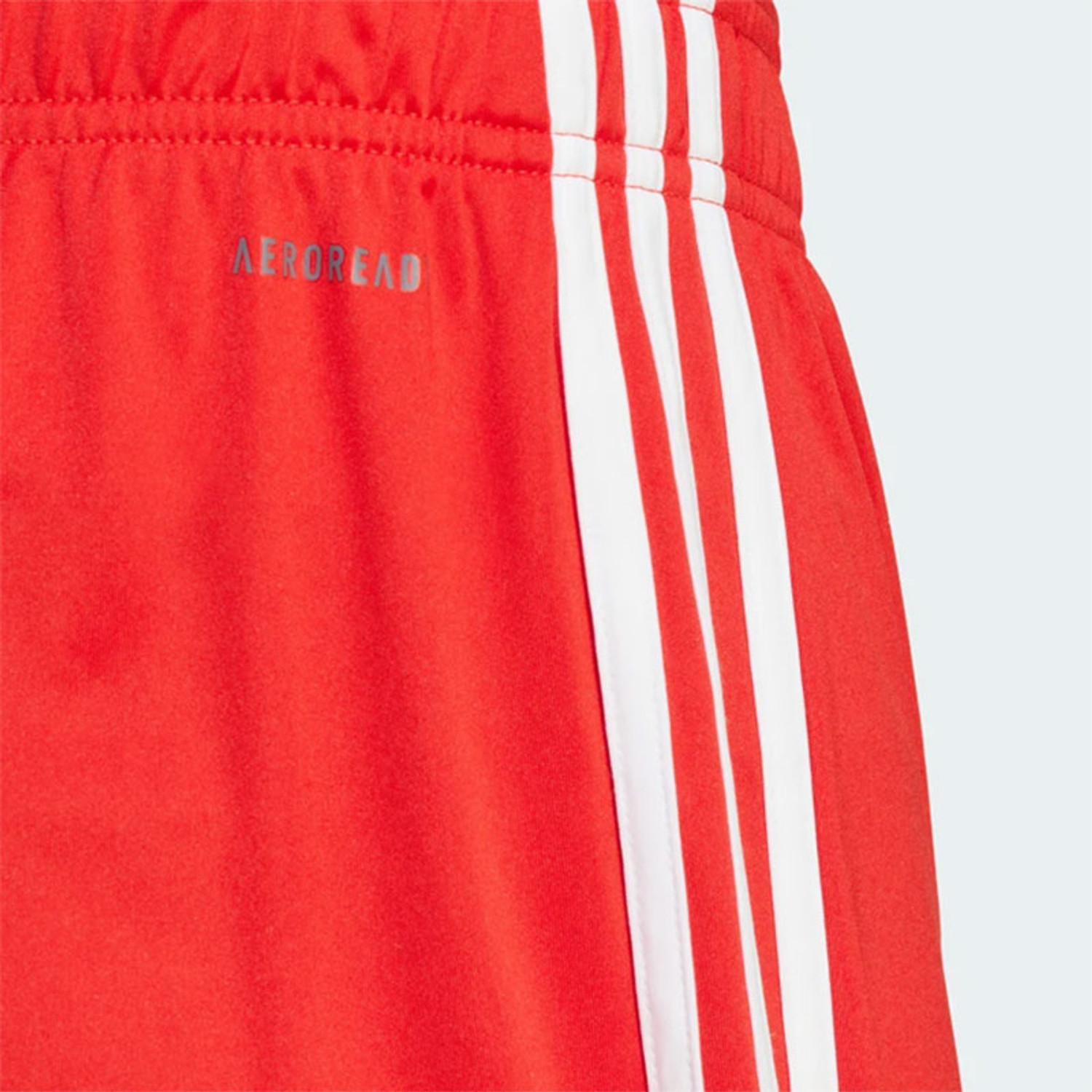 adidas Bayern München Pre-Match Trainingsset