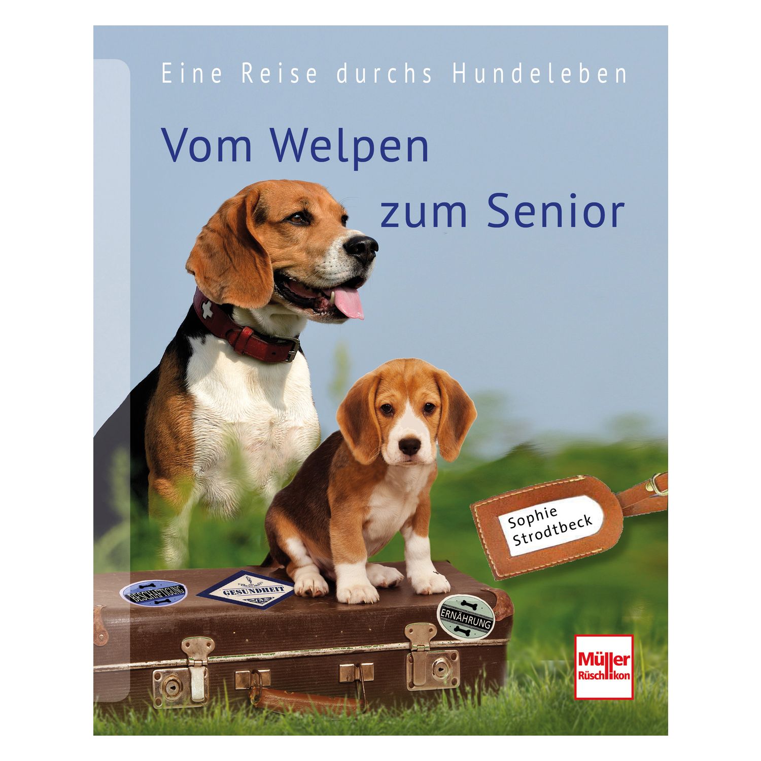 Vom Welpen zum Senior