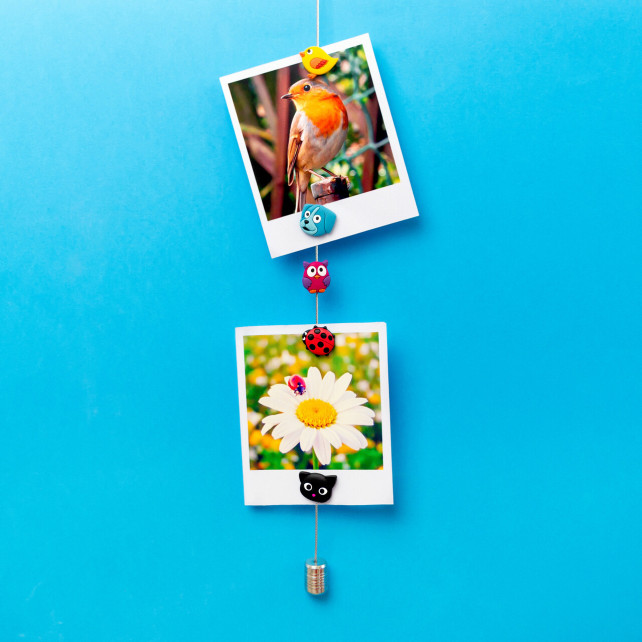 Câble porte photos et magnets - Magnetic Cable
