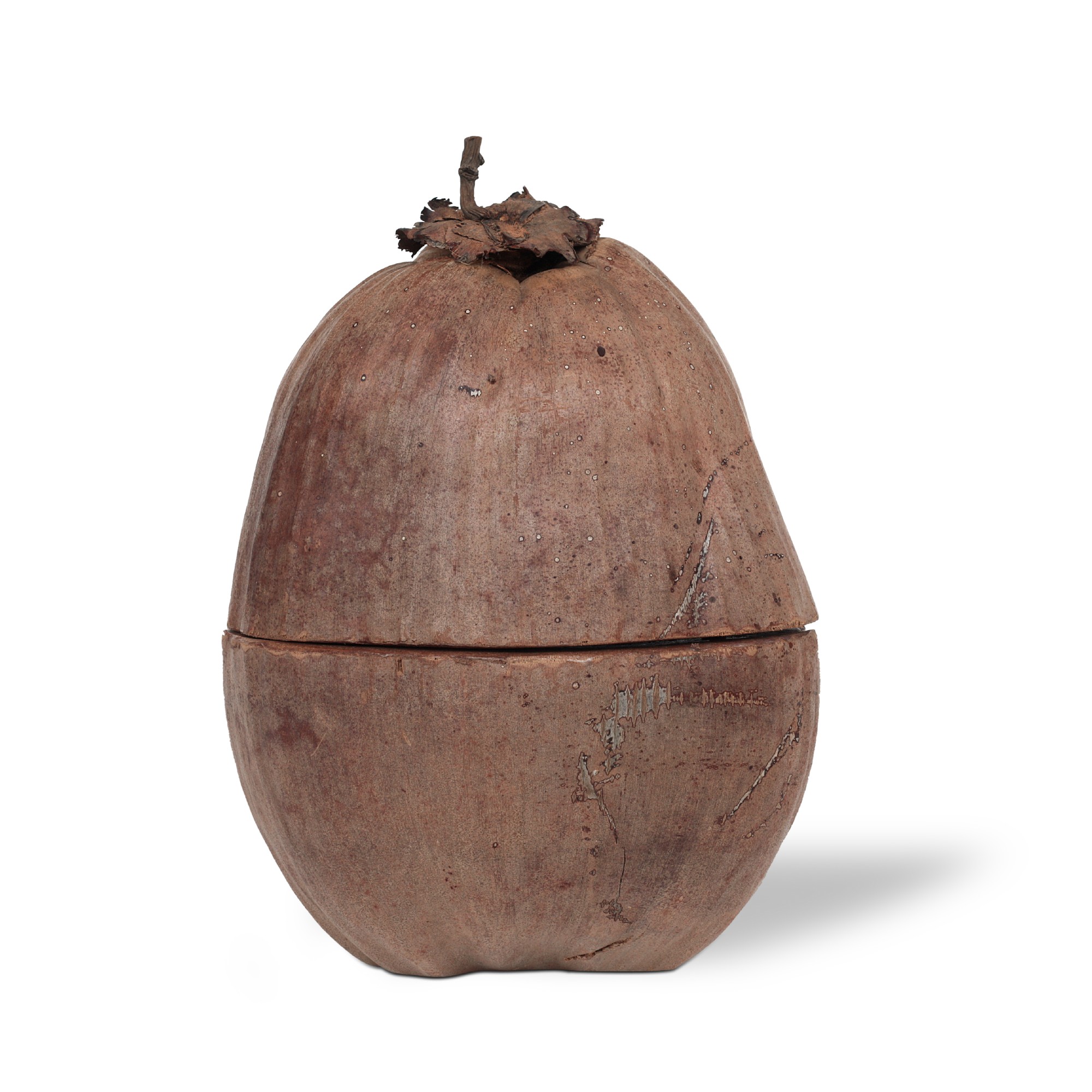Kokosnuss-Box mit Deckel, natur, Ø 20 cm, H 25 cm von fischer's lagerhaus