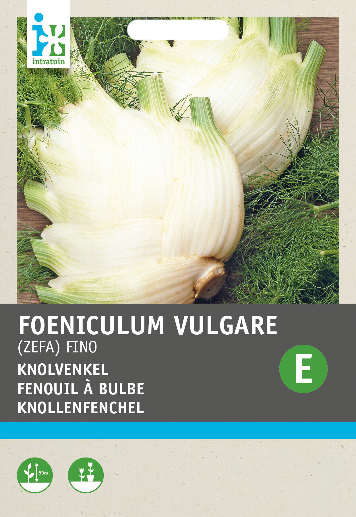 Intratuin groentezaad Venkel (Foeniculum vulgare 'Zefa Fino')