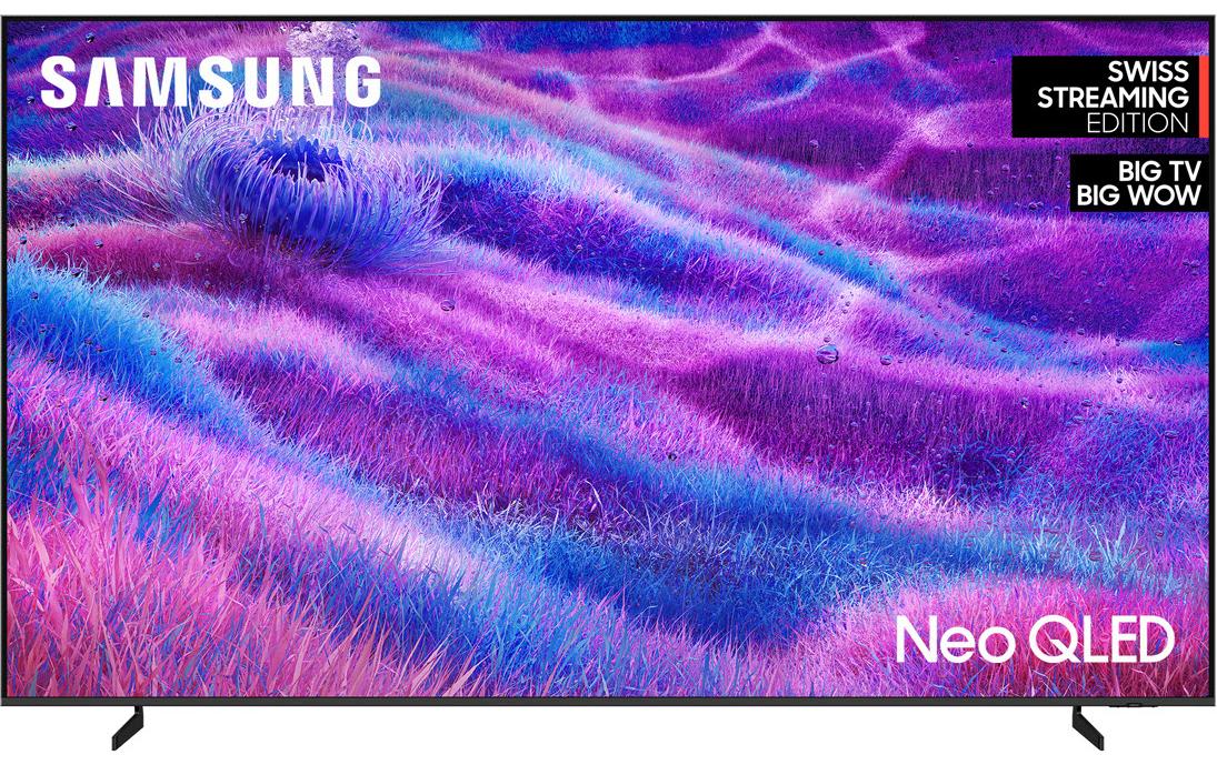 TV QE100QN80F 100'' QN80F Neo QLED 4K Mini LED AI TV, 2025<br>120 Hz, 4K (3.840 x 2.160), NQ4 AI Gen2 Processor, 30W 4CH